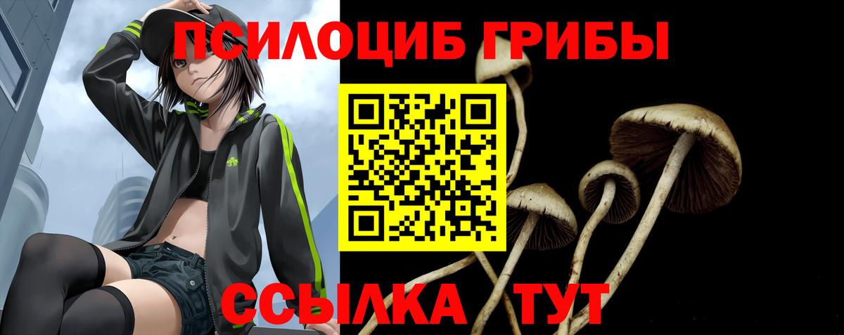 Ханты-Мансийск  Псилоцибиновые грибы мицелий  Вход с VPN 