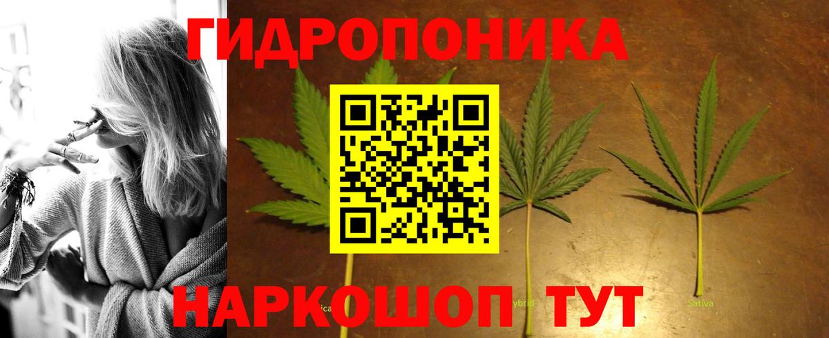 Шишки марихуана ГИДРОПОН Ханты-Мансийск